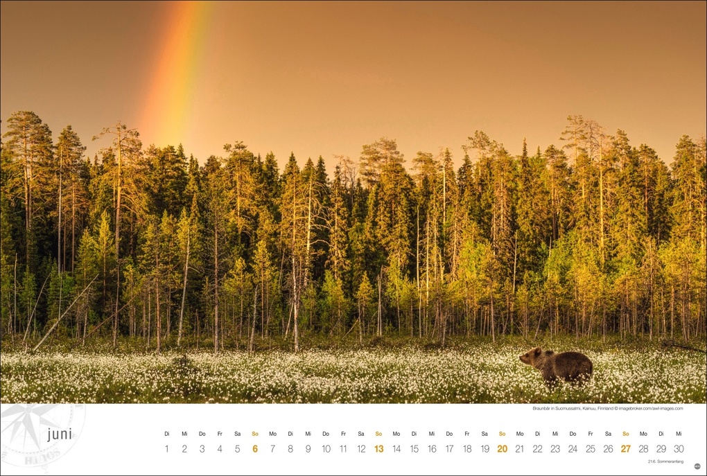 Weitere Ansicht: Skandinavien Globetrotter Kalender 2027 - Von stillen Wäldern, Seen und Fjorden