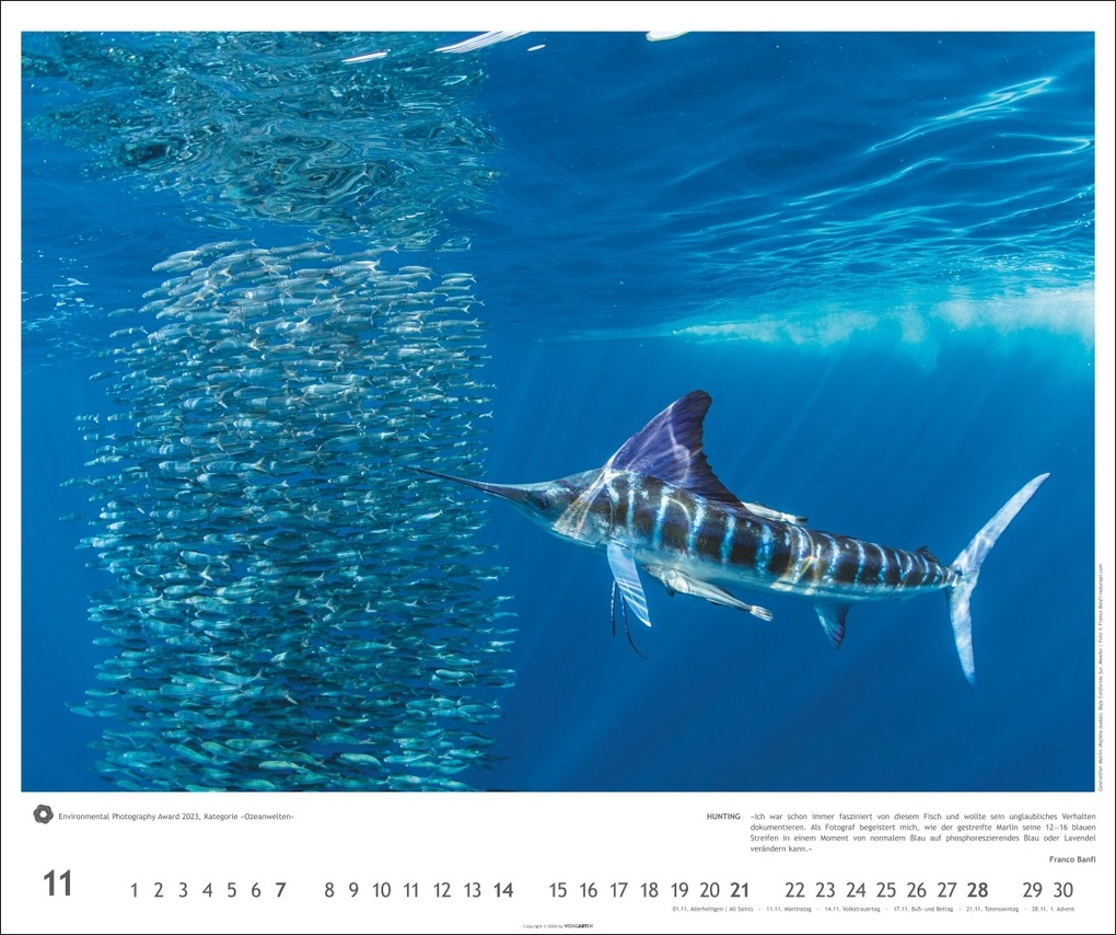 Weitere Ansicht: Meisterwerke der Natur 2027 - Preisgekrönte Naturfotografie