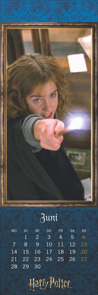 Weitere Ansicht: Harry Potter Lesezeichen & Kalender 2027