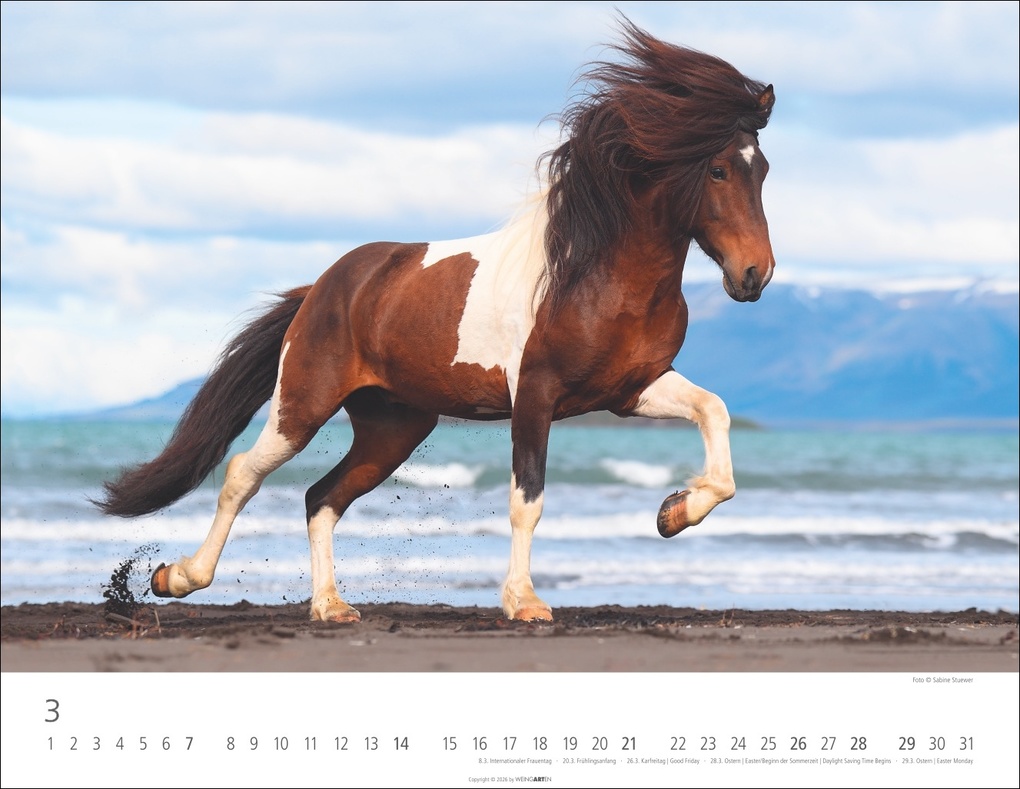 Weitere Ansicht: Islandpferde Kalender 2027
