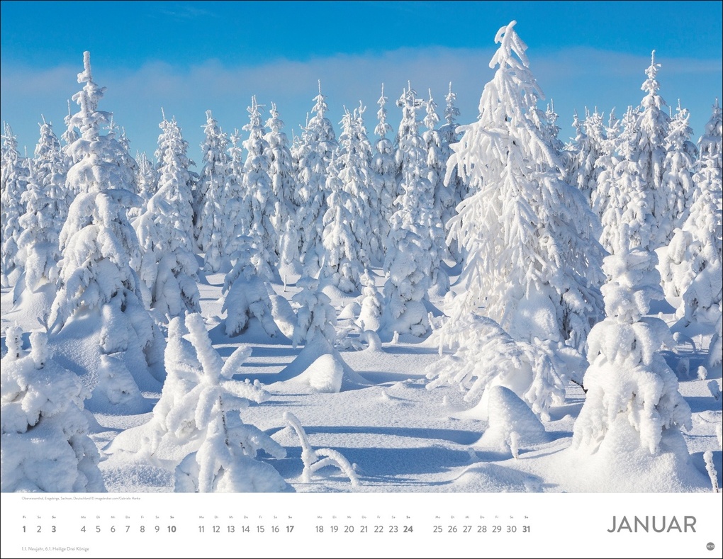 Weitere Ansicht: Schönheit des Waldes Posterkalender 2027