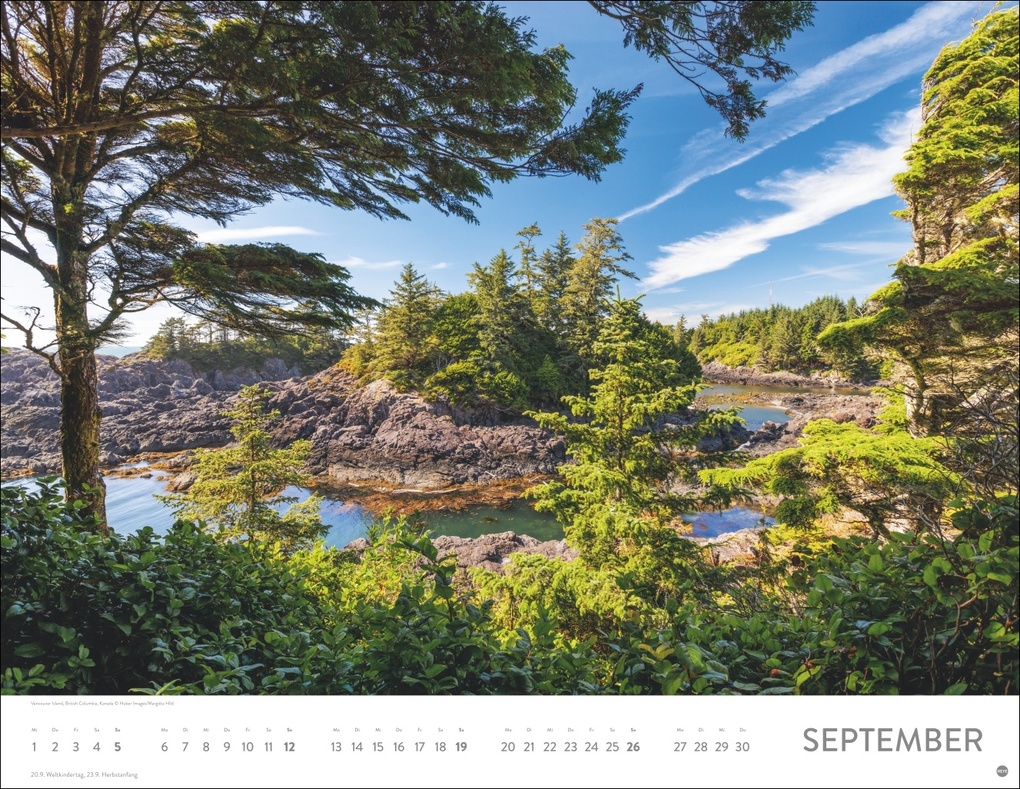 Weitere Ansicht: Schönheit des Waldes Posterkalender 2027