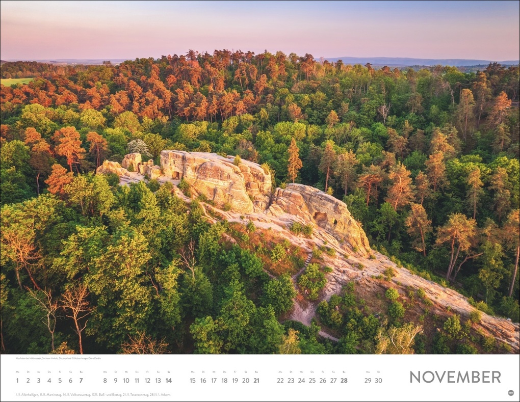 Weitere Ansicht: Schönheit des Waldes Posterkalender 2027