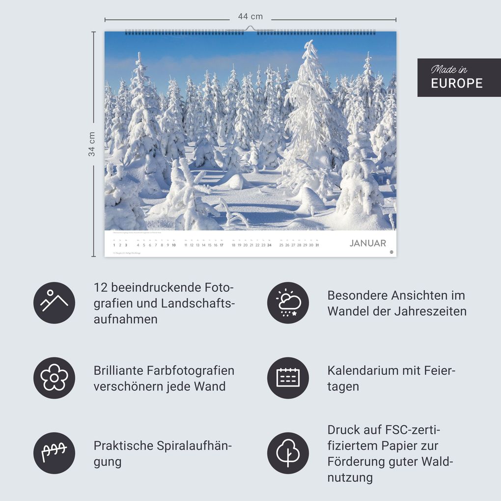 Weitere Ansicht: Schönheit des Waldes Posterkalender 2027
