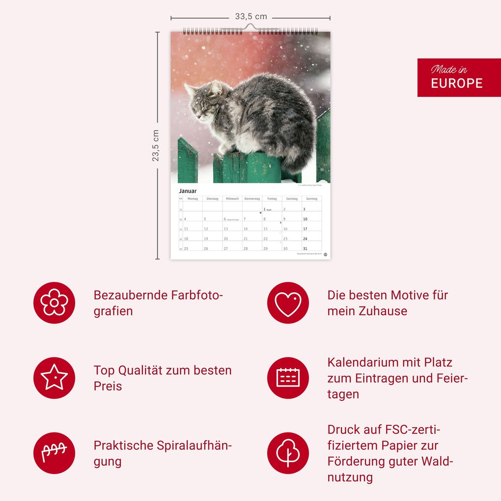 Weitere Ansicht: Katzen Kalender 2027