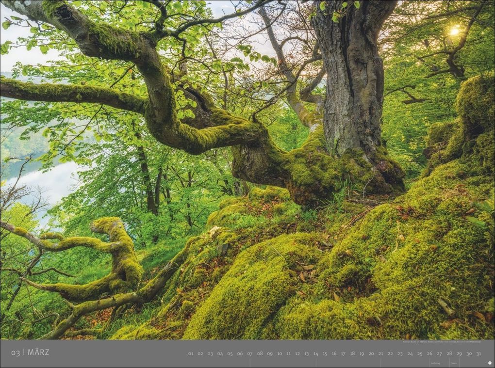Weitere Ansicht: Deutsche Nationalparks - Edition Alexander von Humboldt Kalender 2027