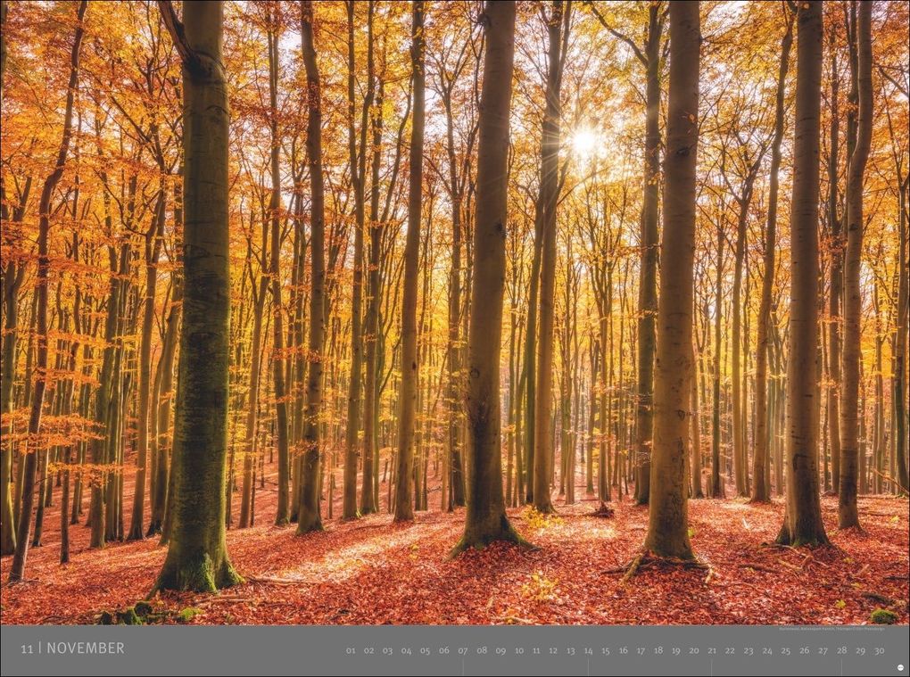 Weitere Ansicht: Deutsche Nationalparks - Edition Alexander von Humboldt Kalender 2027