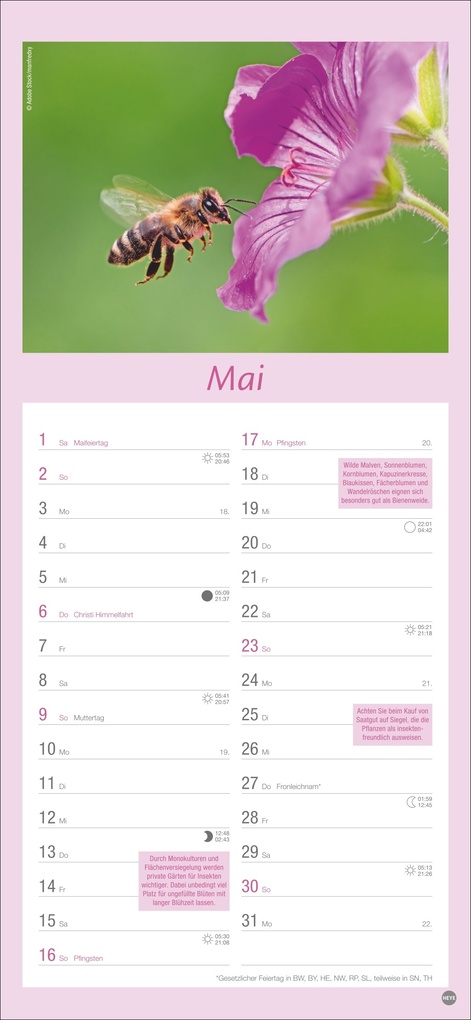 Weitere Ansicht: Gartenplaner 2027