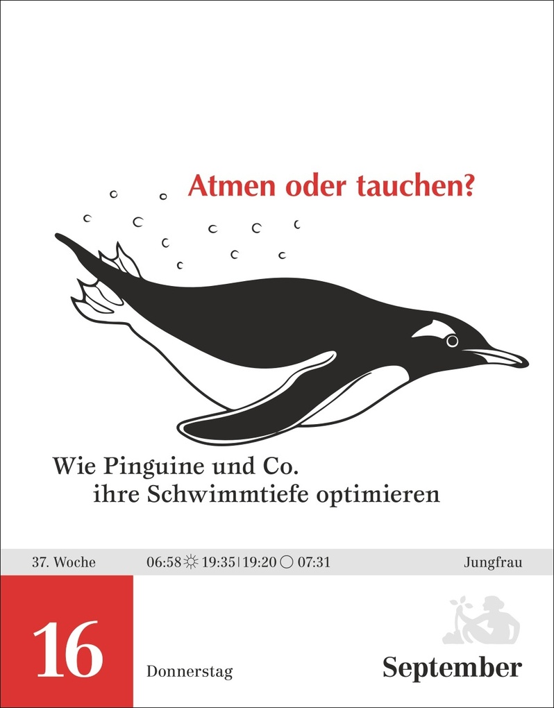 Weitere Ansicht: Einstein für Quanten-Dilettanten Tagesabreißkalender 2027 - Ein vergnüglicher Crashkurs in Sachen Naturwissenschaften | Elena Bernard, Ilja Rückmann, Michael Schweer-de Bailly