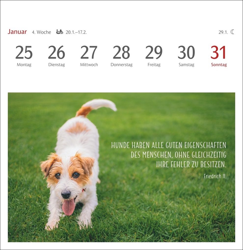 Weitere Ansicht: Hunde Premium-Postkartenkalender 2027 - Freunde auf vier Pfoten; Kalender mit 53 Postkarten