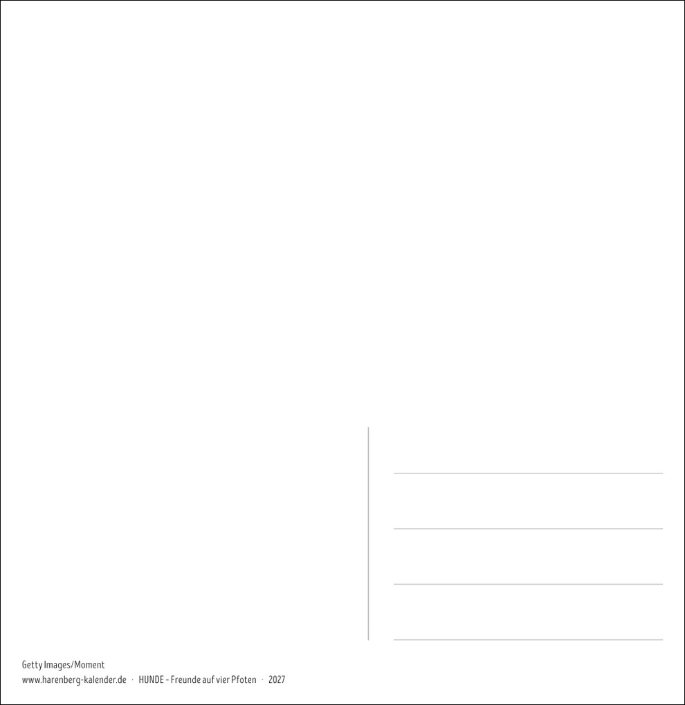 Weitere Ansicht: Hunde Premium-Postkartenkalender 2027 - Freunde auf vier Pfoten; Kalender mit 53 Postkarten