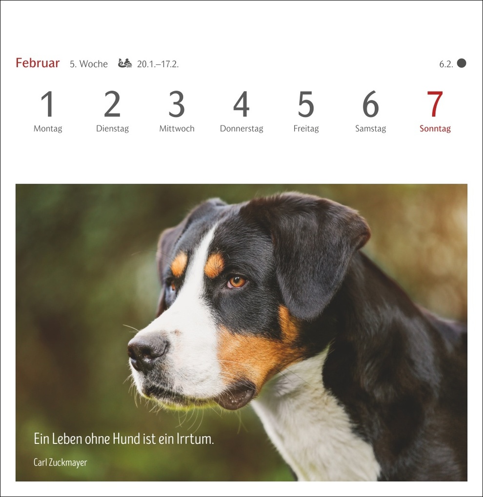 Weitere Ansicht: Hunde Premium-Postkartenkalender 2027 - Freunde auf vier Pfoten; Kalender mit 53 Postkarten