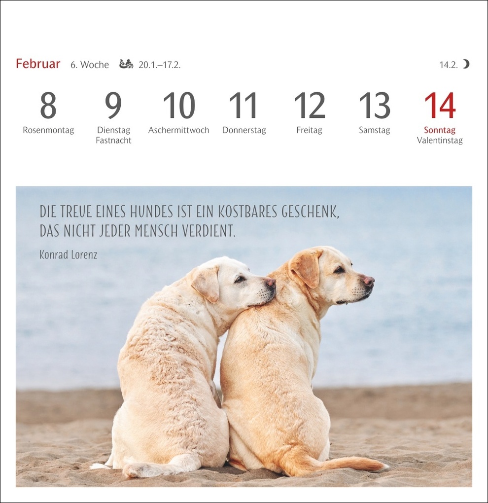 Weitere Ansicht: Hunde Premium-Postkartenkalender 2027 - Freunde auf vier Pfoten; Kalender mit 53 Postkarten