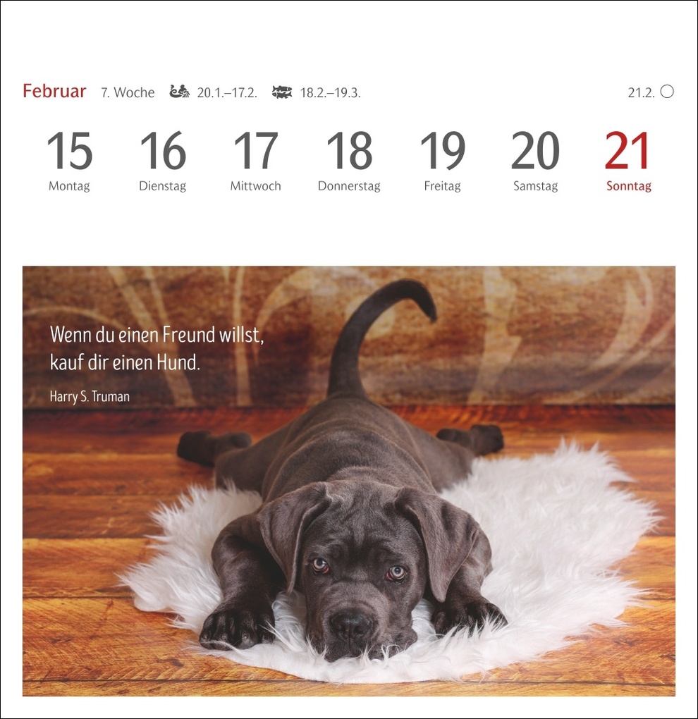 Weitere Ansicht: Hunde Premium-Postkartenkalender 2027 - Freunde auf vier Pfoten; Kalender mit 53 Postkarten