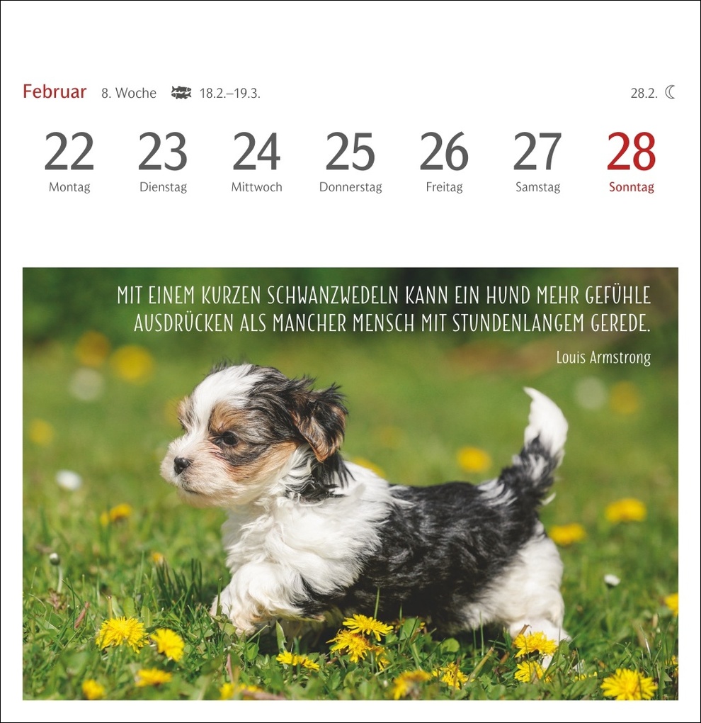 Weitere Ansicht: Hunde Premium-Postkartenkalender 2027 - Freunde auf vier Pfoten; Kalender mit 53 Postkarten