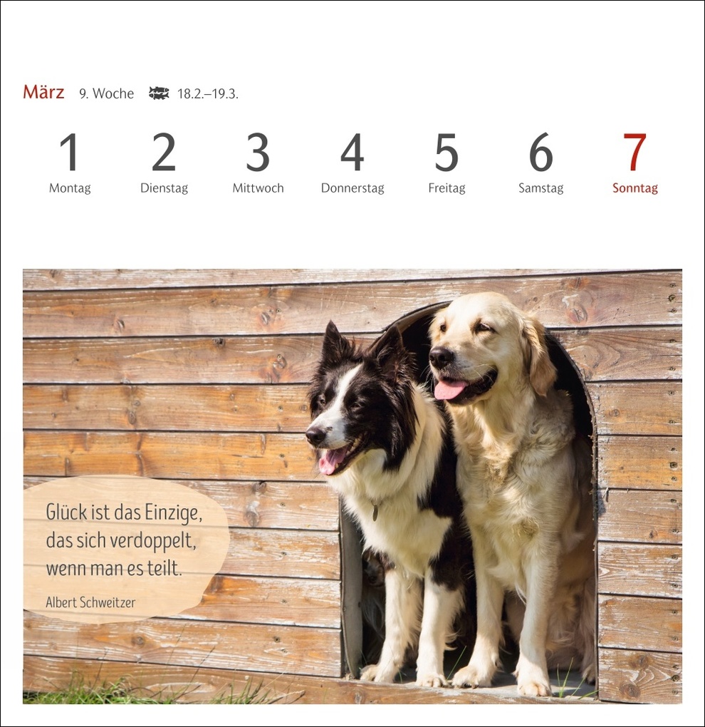 Weitere Ansicht: Hunde Premium-Postkartenkalender 2027 - Freunde auf vier Pfoten; Kalender mit 53 Postkarten