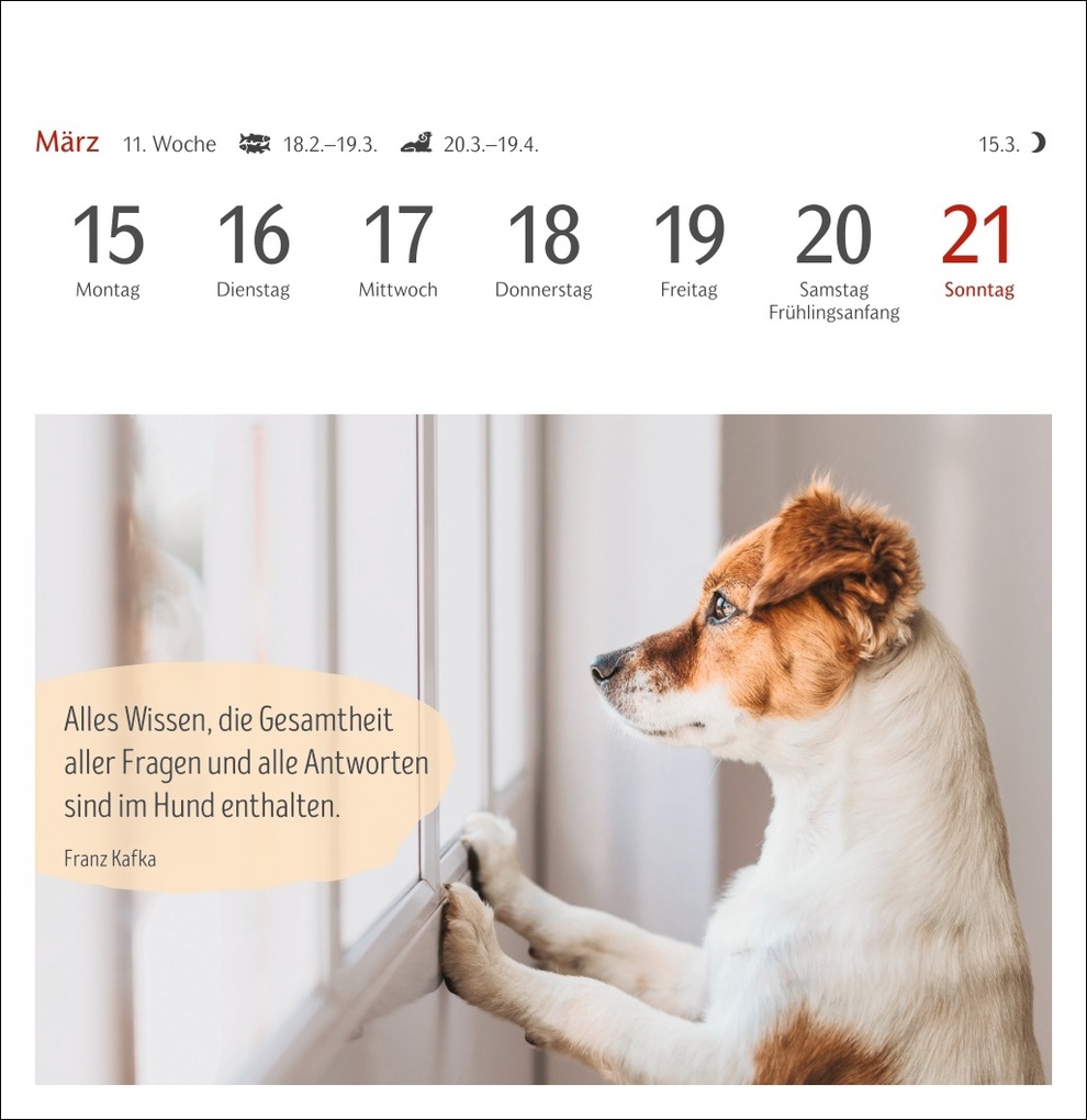 Weitere Ansicht: Hunde Premium-Postkartenkalender 2027 - Freunde auf vier Pfoten; Kalender mit 53 Postkarten