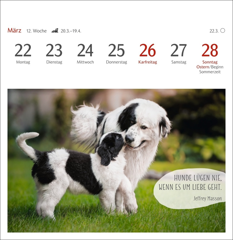 Weitere Ansicht: Hunde Premium-Postkartenkalender 2027 - Freunde auf vier Pfoten; Kalender mit 53 Postkarten
