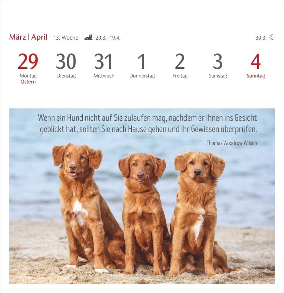 Weitere Ansicht: Hunde Premium-Postkartenkalender 2027 - Freunde auf vier Pfoten; Kalender mit 53 Postkarten