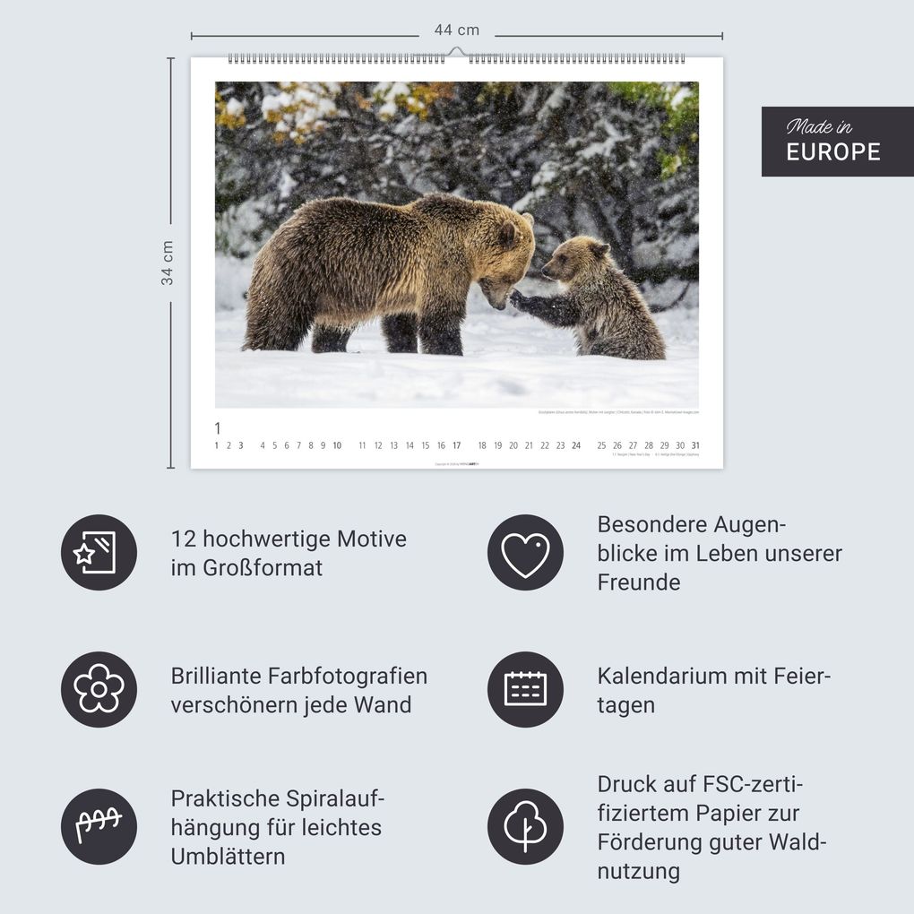 Weitere Ansicht: Bären Kalender 2027