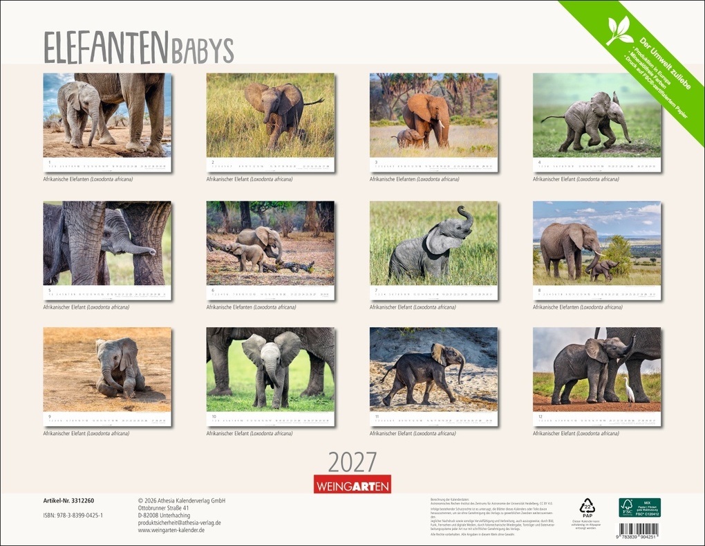 Weitere Ansicht: Elefantenbabys Kalender 2027
