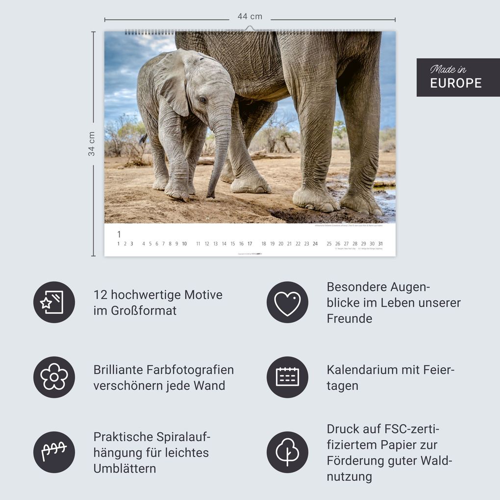 Weitere Ansicht: Elefantenbabys Kalender 2027