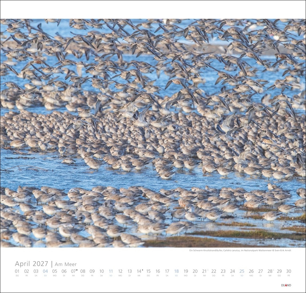 Weitere Ansicht: Am Meer Edition Kalender 2027 - Sand, Wind und Wellen | Hans Jessel