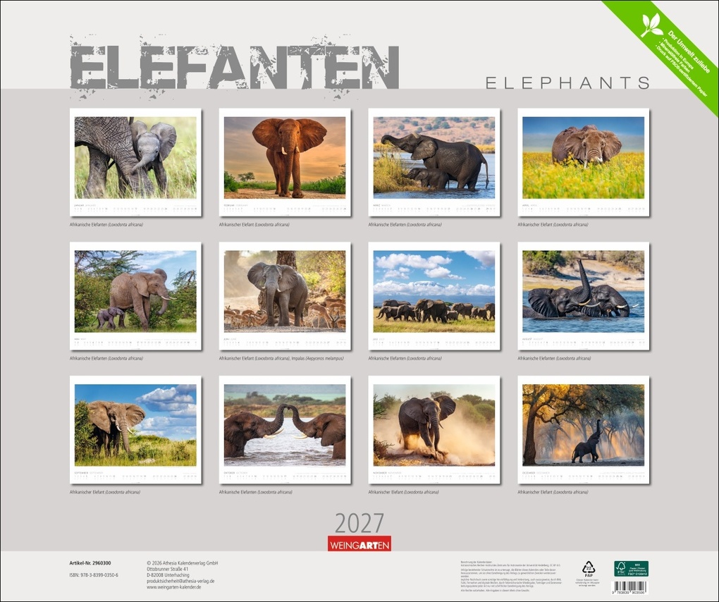 Weitere Ansicht: Elefanten Kalender 2027