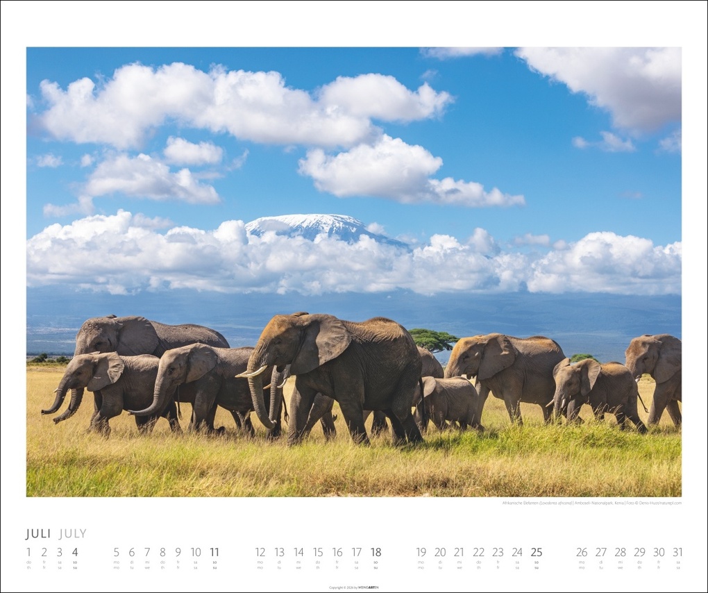 Weitere Ansicht: Elefanten Kalender 2027
