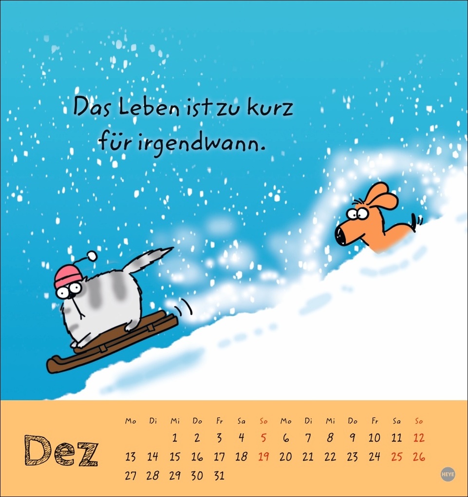 Weitere Ansicht: Catzz Postkartenkalender 2027 | Alexander Holzach