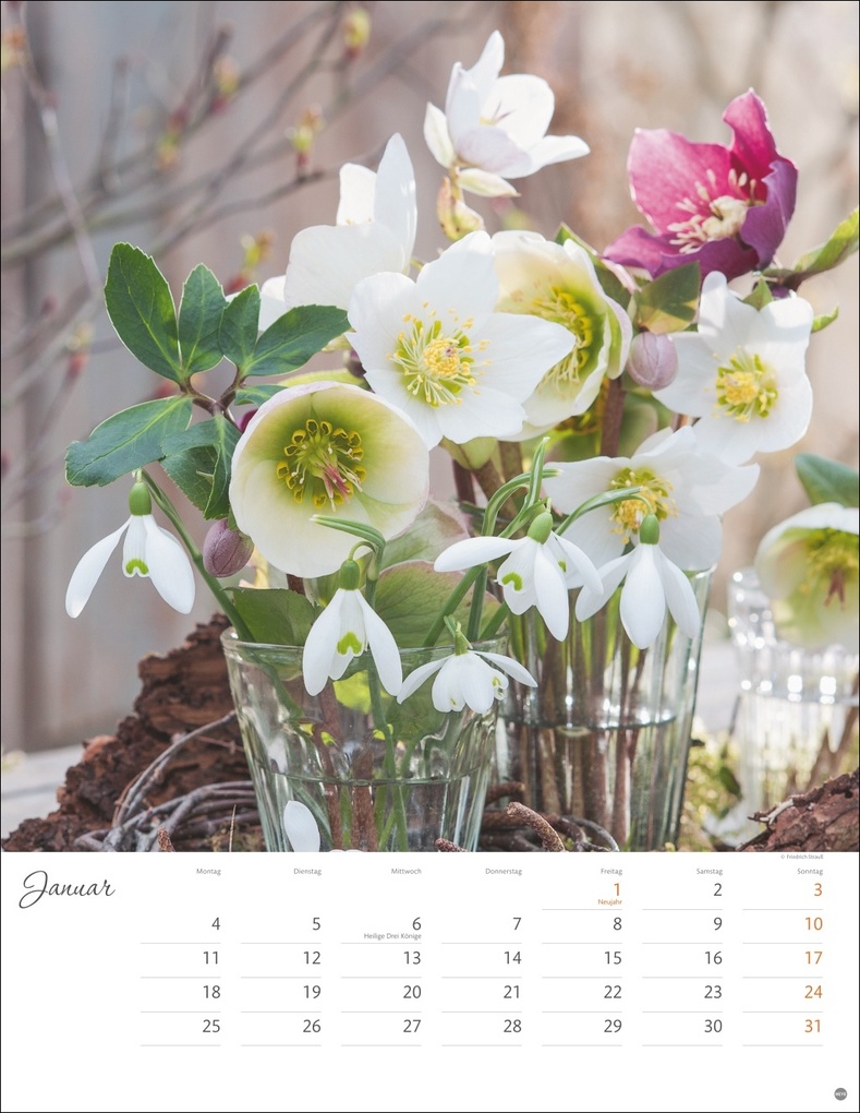 Weitere Ansicht: Bunter Blütenzauber Posterkalender 2027