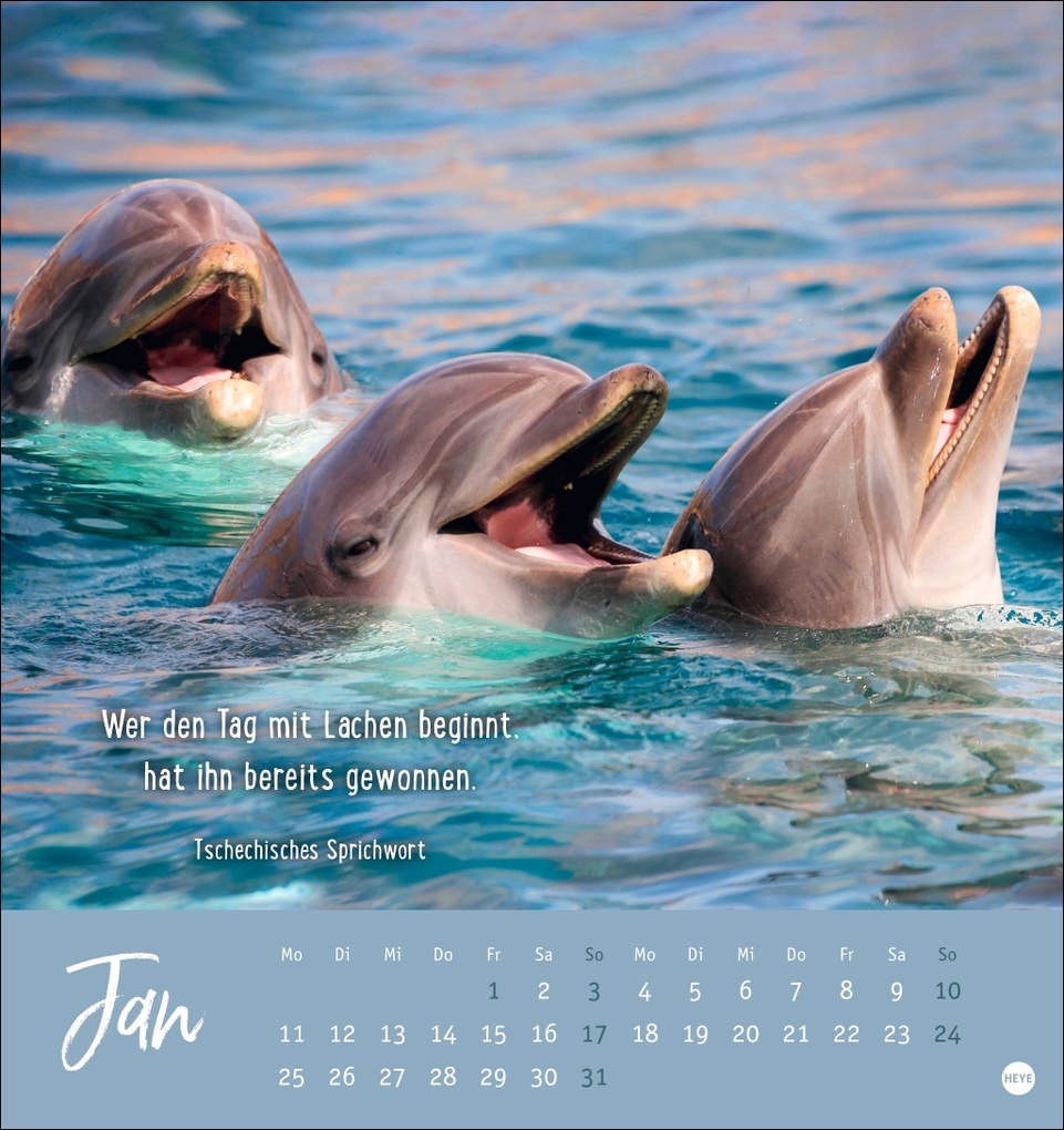 Weitere Ansicht: Never give up! Postkartenkalender 2027 - Durchhalten. Denn alles wird gut.