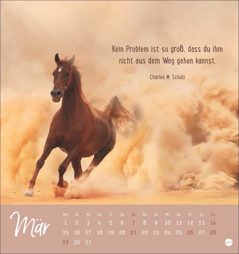 Weitere Ansicht: Never give up! Postkartenkalender 2027 - Durchhalten. Denn alles wird gut.