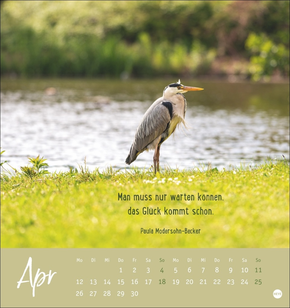 Weitere Ansicht: Never give up! Postkartenkalender 2027 - Durchhalten. Denn alles wird gut.