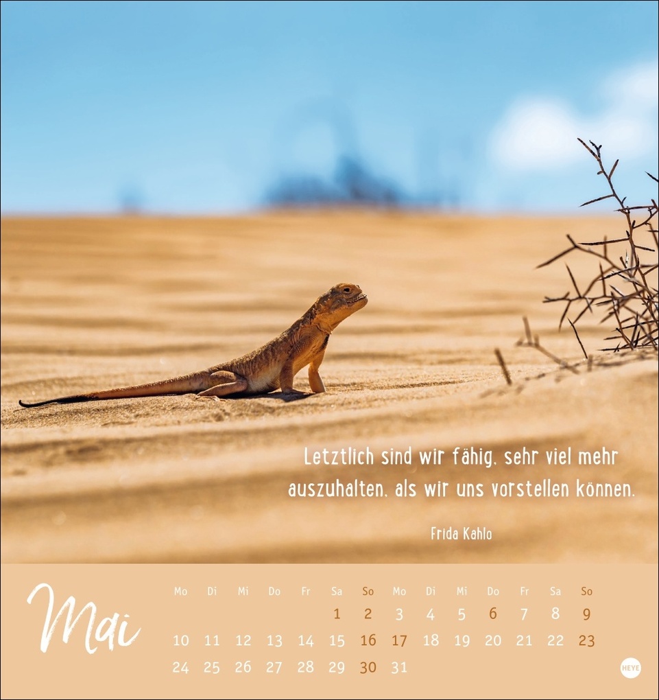 Weitere Ansicht: Never give up! Postkartenkalender 2027 - Durchhalten. Denn alles wird gut.