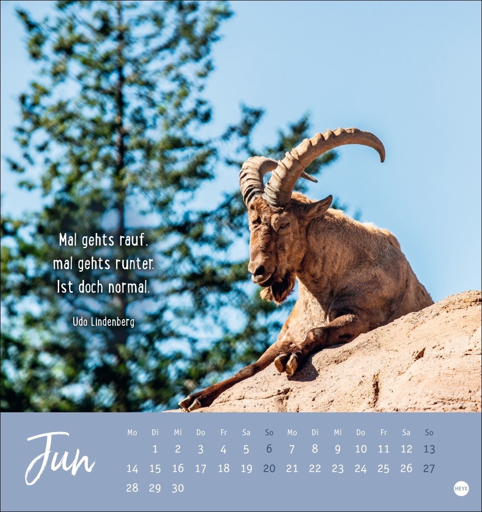 Weitere Ansicht: Never give up! Postkartenkalender 2027 - Durchhalten. Denn alles wird gut.