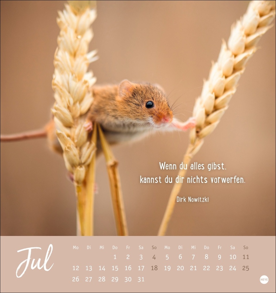 Weitere Ansicht: Never give up! Postkartenkalender 2027 - Durchhalten. Denn alles wird gut.