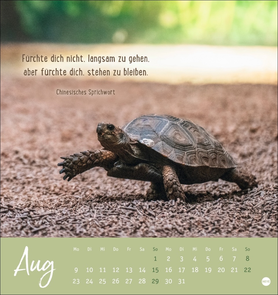 Weitere Ansicht: Never give up! Postkartenkalender 2027 - Durchhalten. Denn alles wird gut.