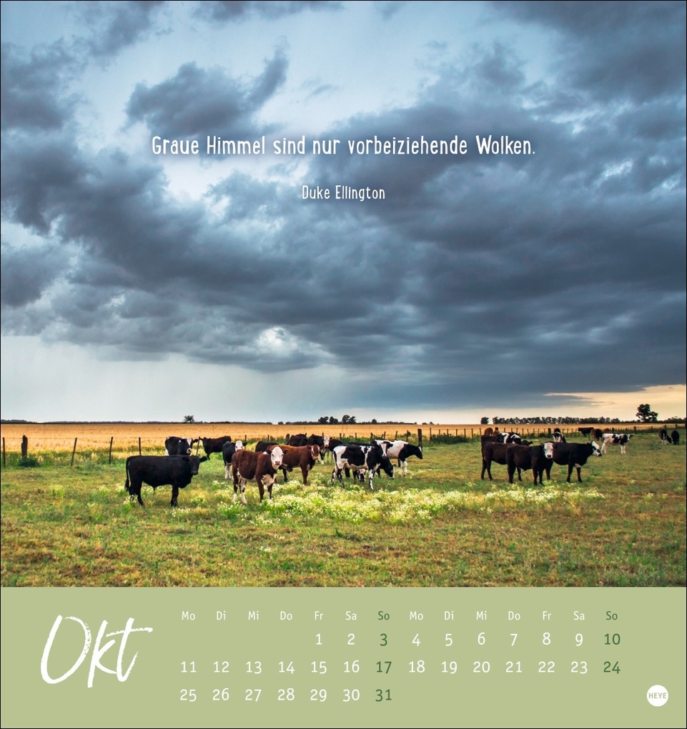 Weitere Ansicht: Never give up! Postkartenkalender 2027 - Durchhalten. Denn alles wird gut.