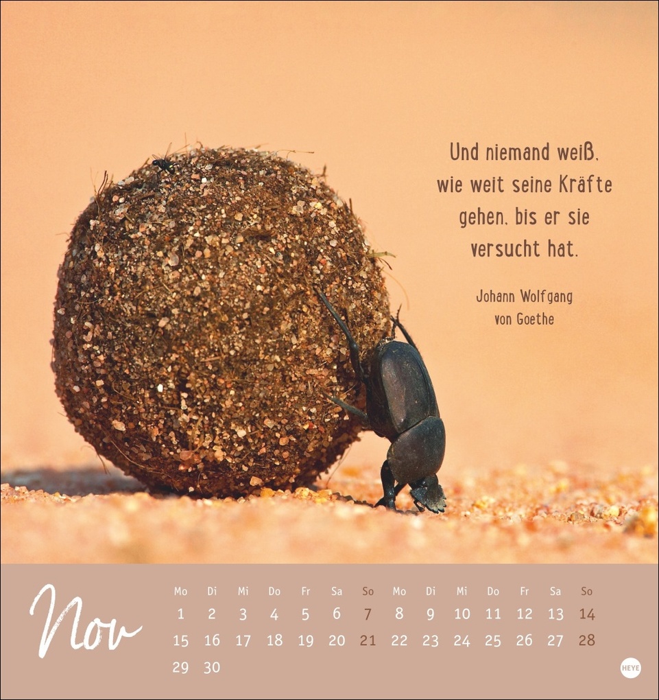 Weitere Ansicht: Never give up! Postkartenkalender 2027 - Durchhalten. Denn alles wird gut.