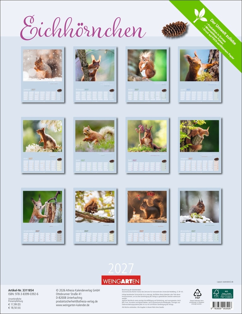 Weitere Ansicht: Eichhörnchen Kalender 2027
