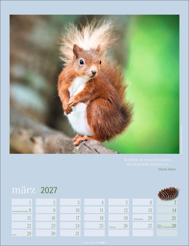 Weitere Ansicht: Eichhörnchen Kalender 2027