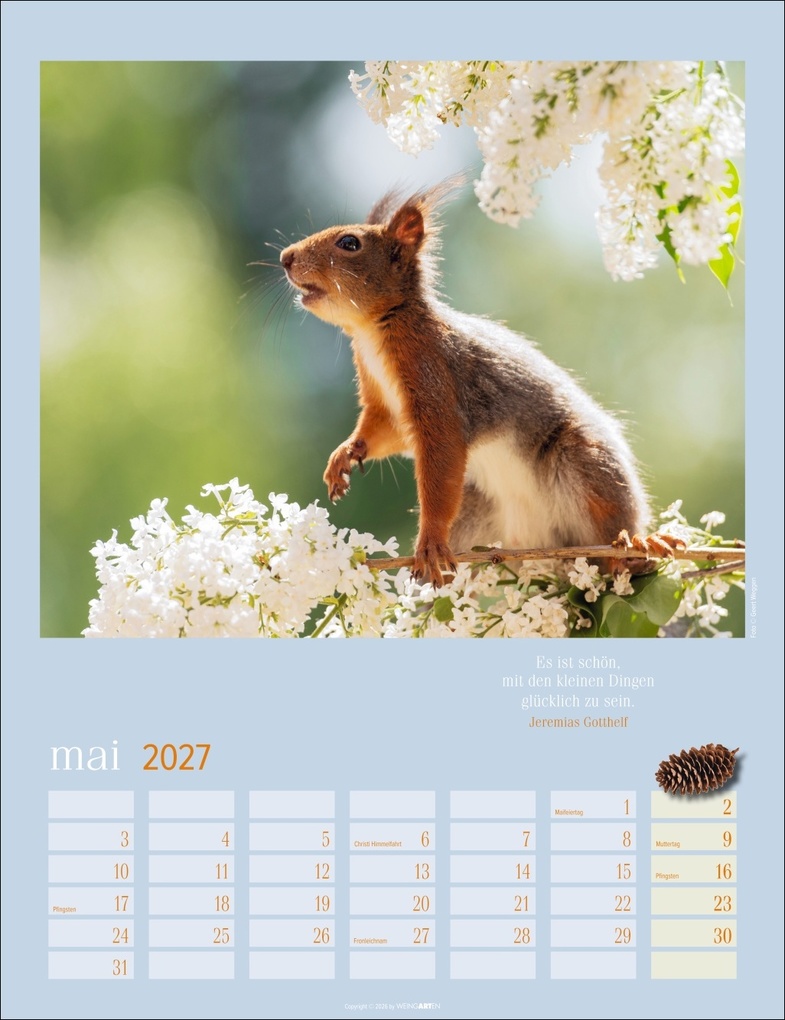 Weitere Ansicht: Eichhörnchen Kalender 2027