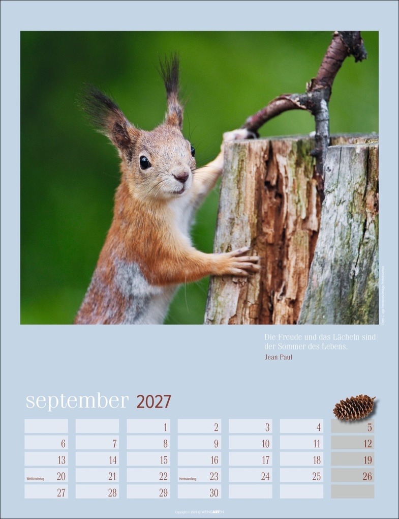 Weitere Ansicht: Eichhörnchen Kalender 2027