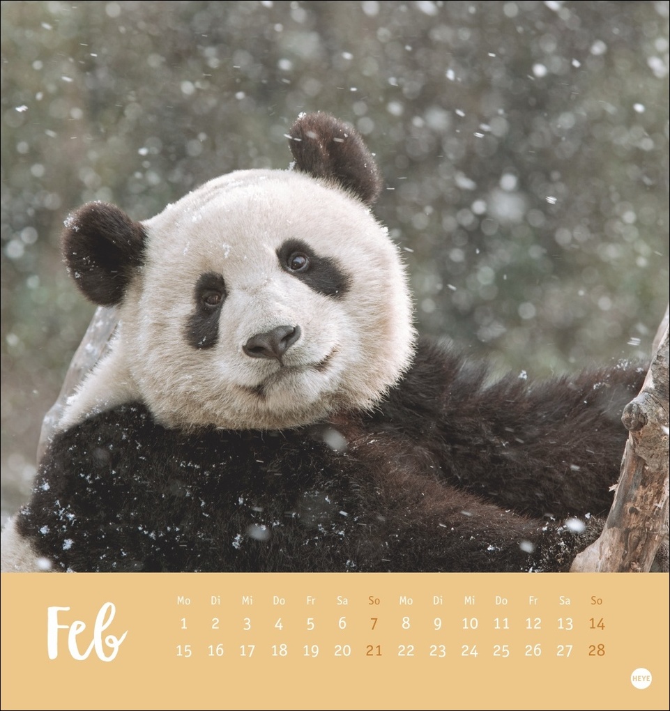 Weitere Ansicht: Bärenstark Postkartenkalender 2027