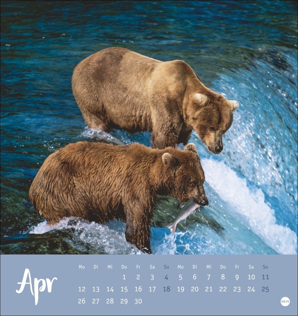 Weitere Ansicht: Bärenstark Postkartenkalender 2027