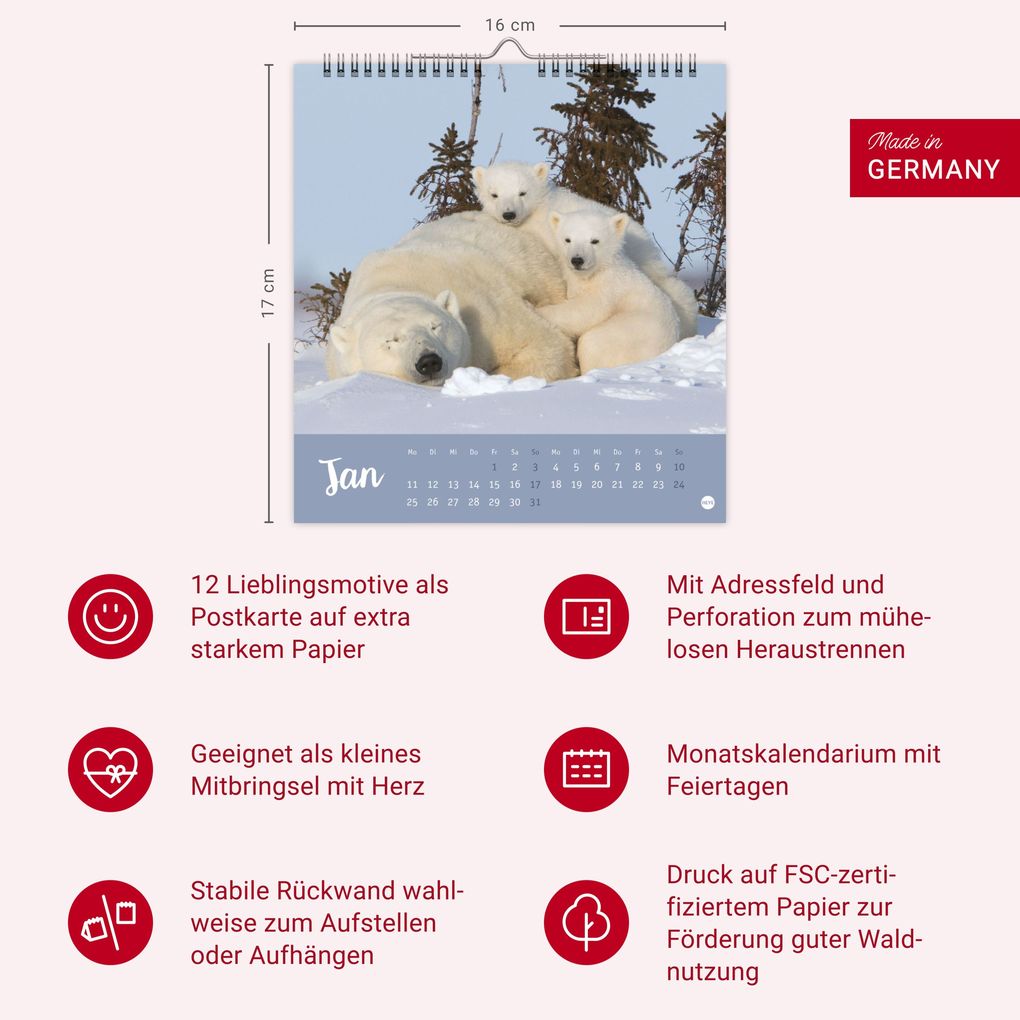 Weitere Ansicht: Bärenstark Postkartenkalender 2027