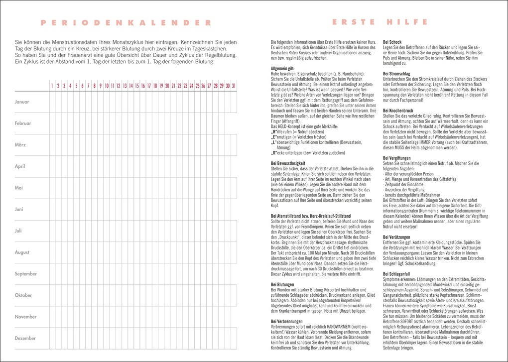 Weitere Ansicht: Lady Terminkalender A6 2027