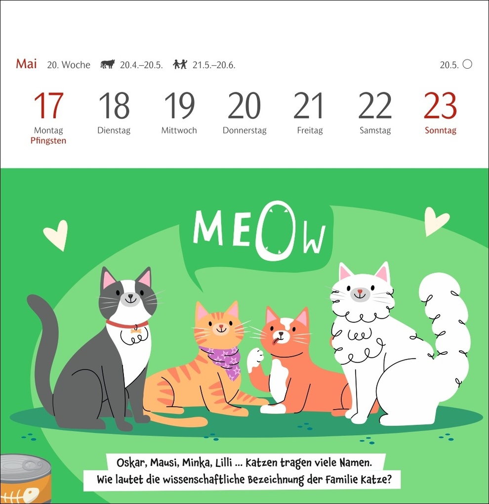 Weitere Ansicht: Unnützes-Wissen-Quiz Katzen Premium-Postkartenkalender 2027 - Kalender mit 53 Rätselkarten | Stefan Heine