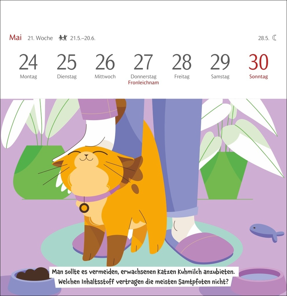 Weitere Ansicht: Unnützes-Wissen-Quiz Katzen Premium-Postkartenkalender 2027 - Kalender mit 53 Rätselkarten | Stefan Heine
